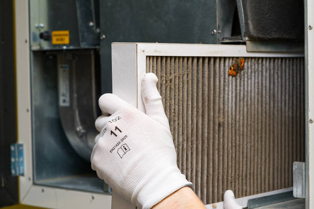 Best Professional Duct Cleaning Services  in Old Miakka, FL